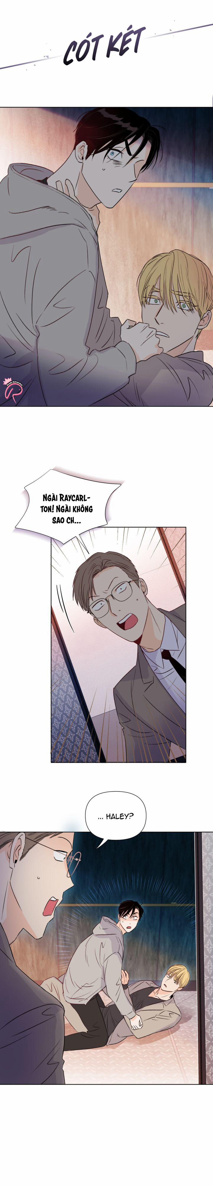 Hào Quang Tối 14 trang 19