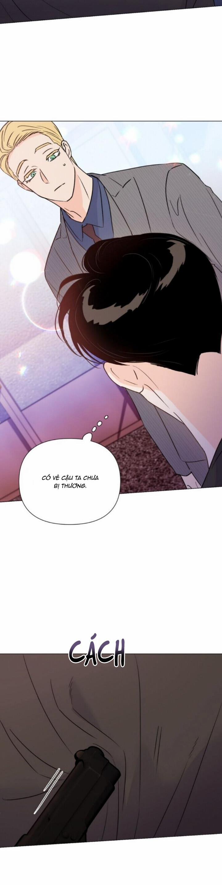 Hào Quang Tối 22 trang 11