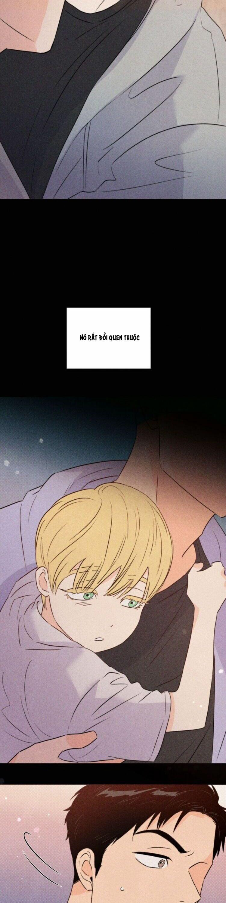 Hào Quang Tối 23 trang 18