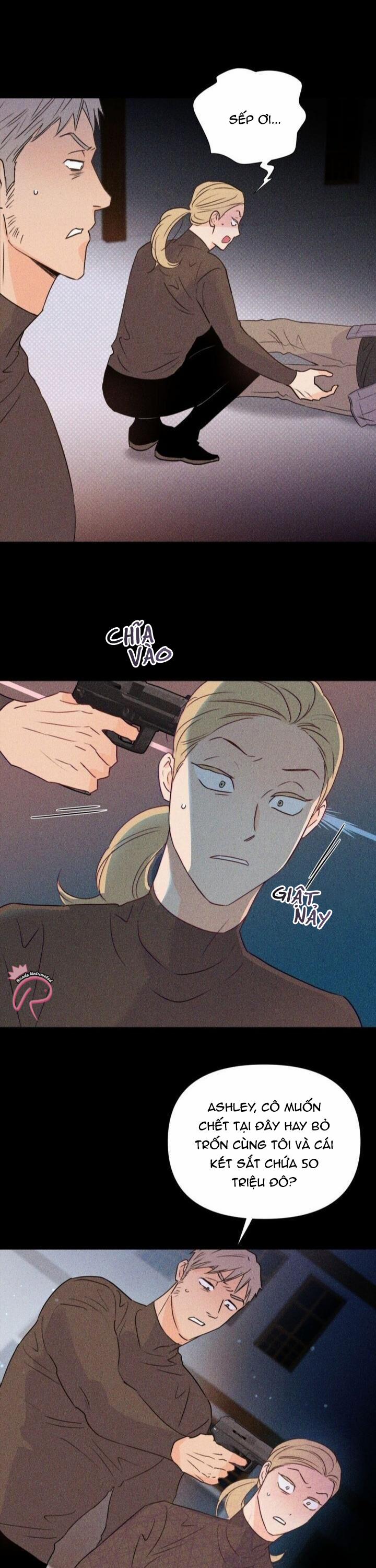 Hào Quang Tối 24 trang 24