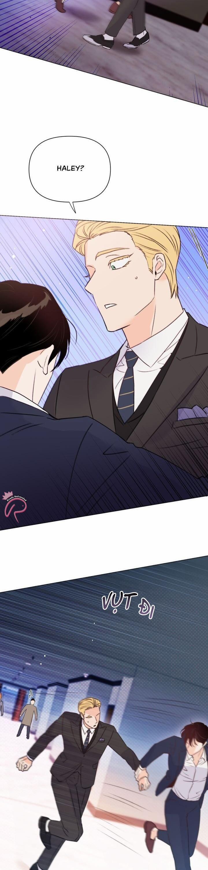 Hào Quang Tối 27 trang 17