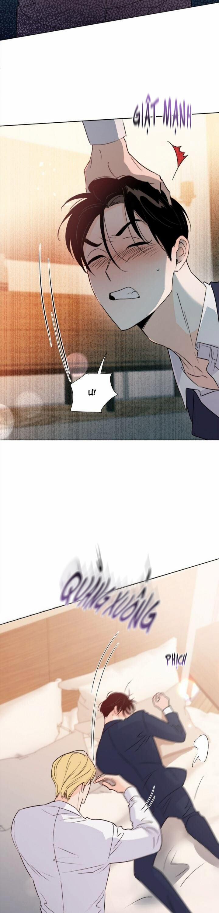 Hào Quang Tối 29 trang 11