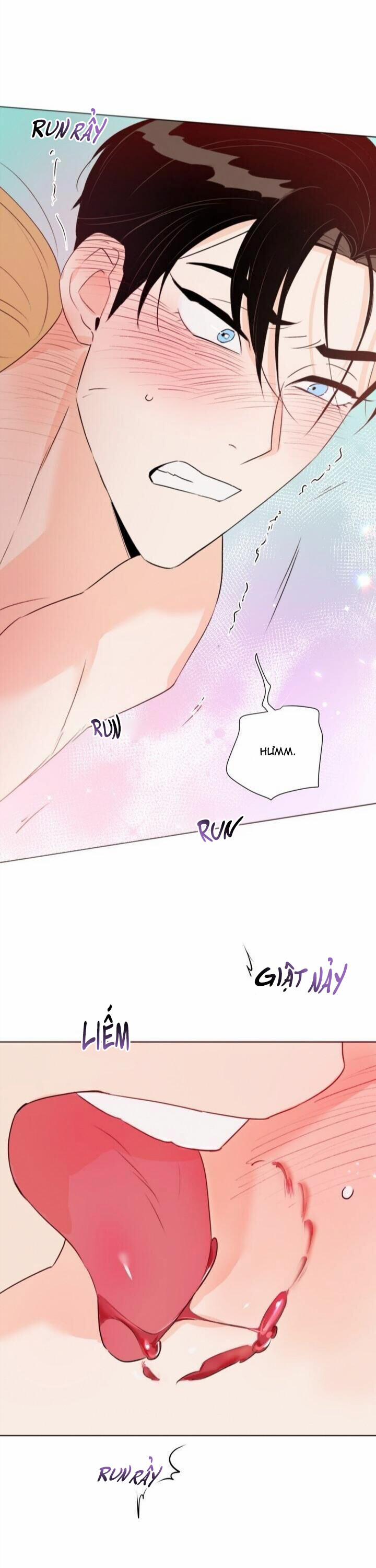 Hào Quang Tối 29 trang 21