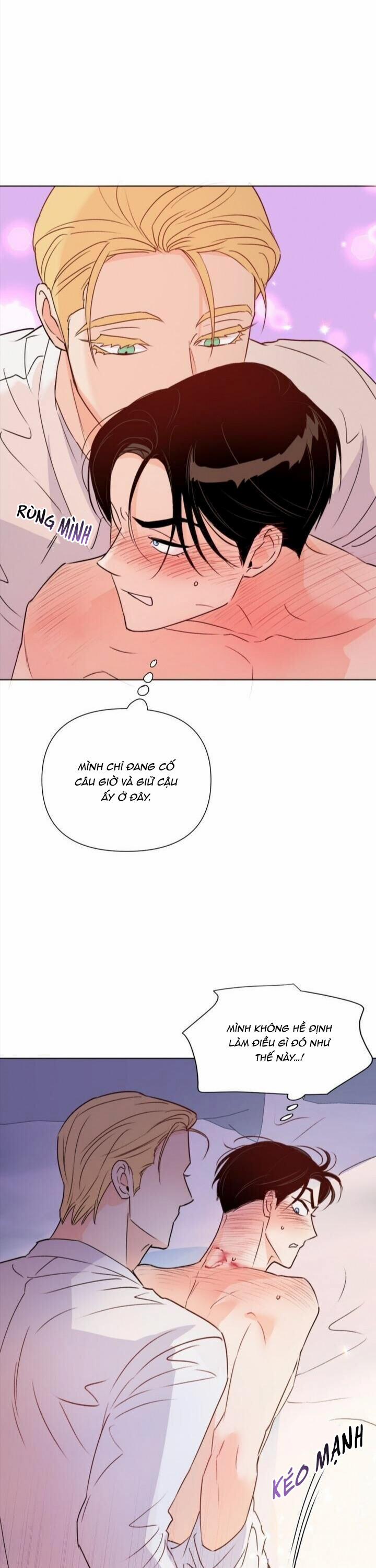 Hào Quang Tối 29 trang 25