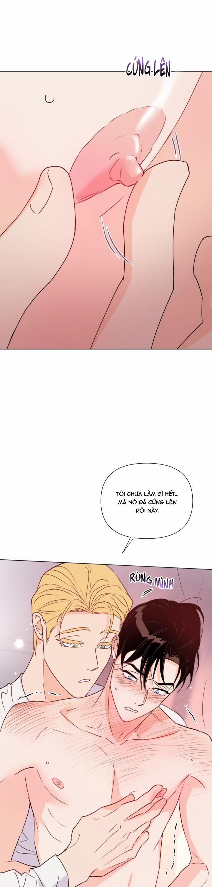 Hào Quang Tối 29 trang 29