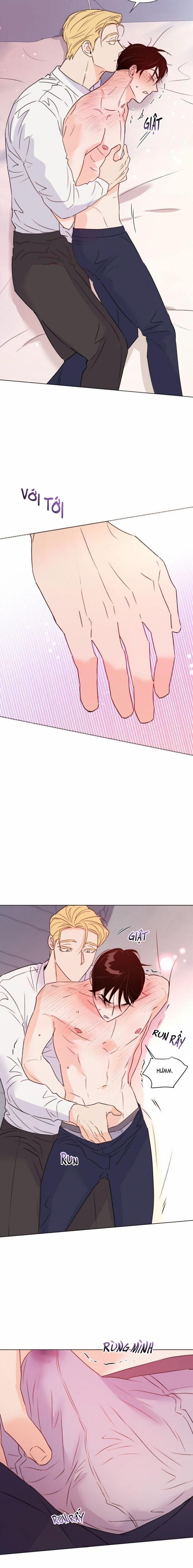 Hào Quang Tối 29 trang 31