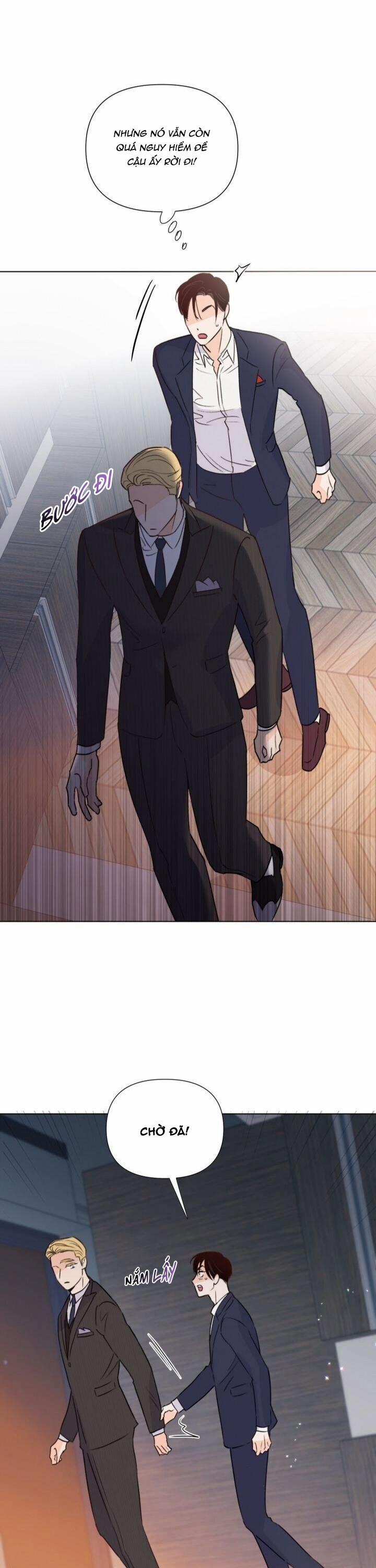 Hào Quang Tối 29 trang 5