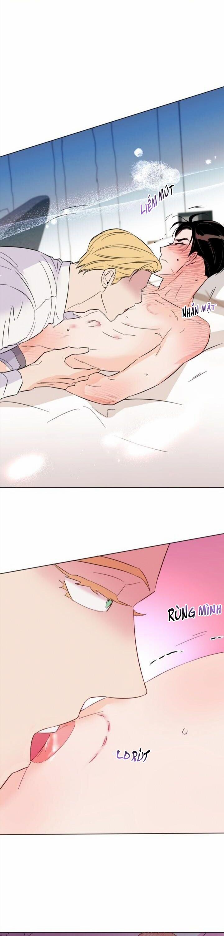 Hào Quang Tối 30 trang 11