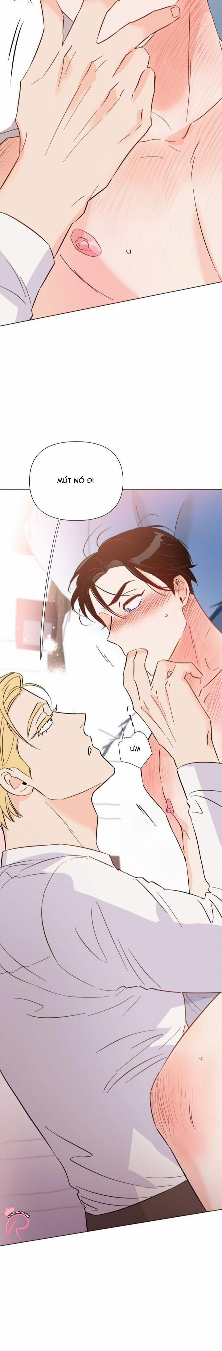 Hào Quang Tối 30 trang 17