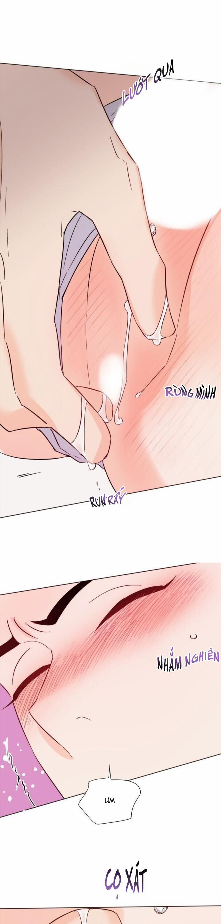 Hào Quang Tối 30 trang 22