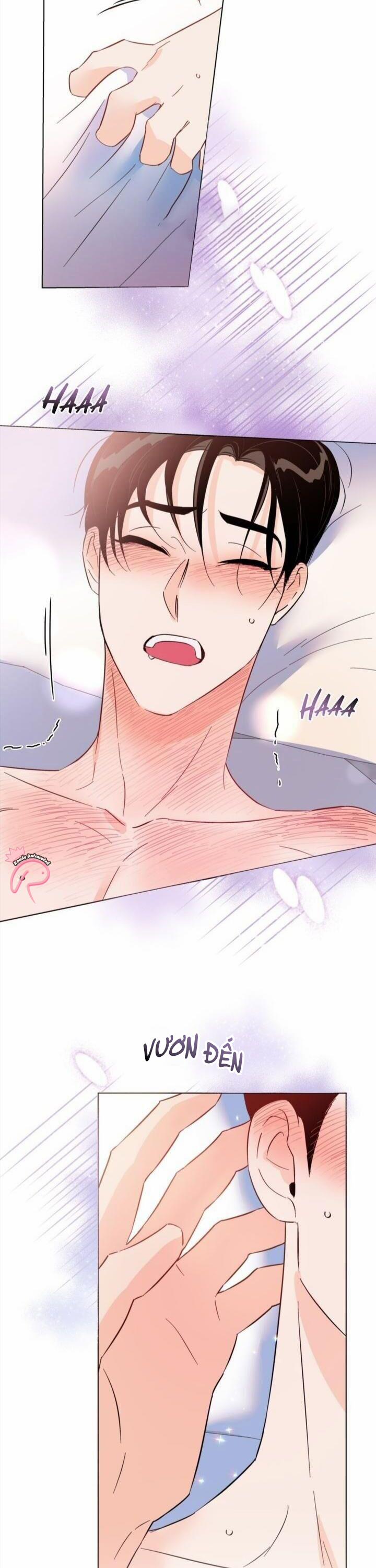 Hào Quang Tối 31 trang 12