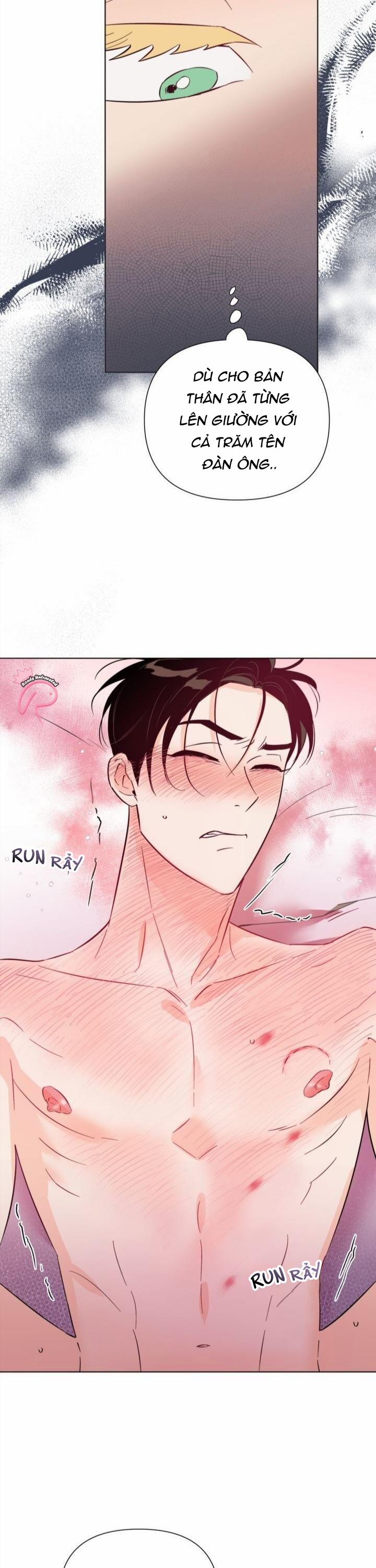 Hào Quang Tối 31 trang 2