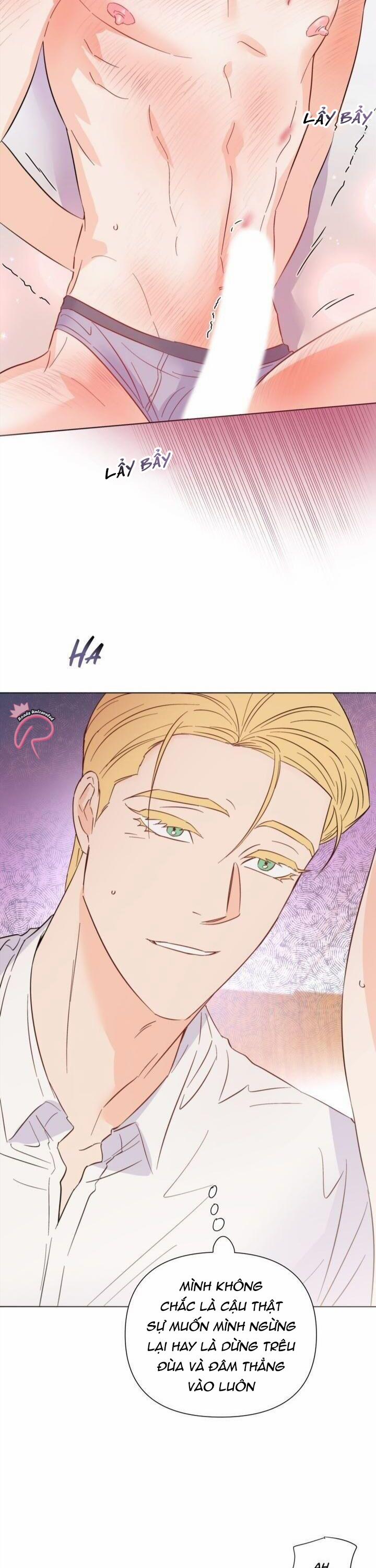 Hào Quang Tối 31 trang 8