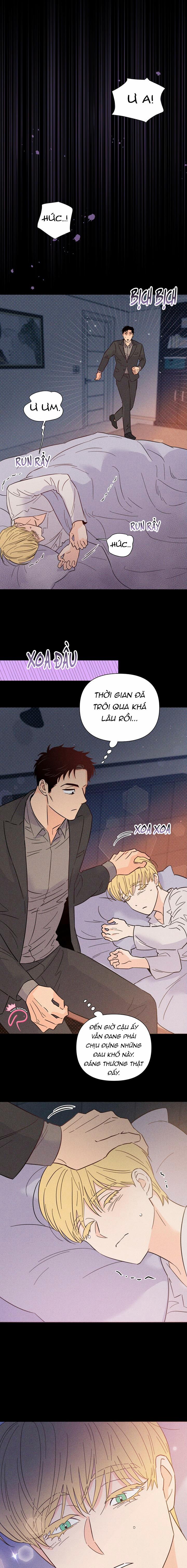 Hào Quang Tối 40 trang 10