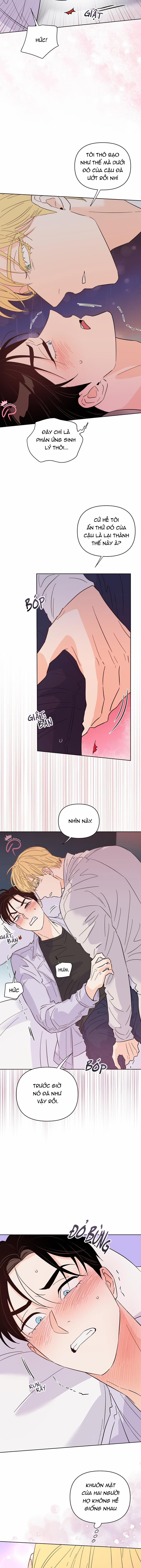 Hào Quang Tối 43 trang 6