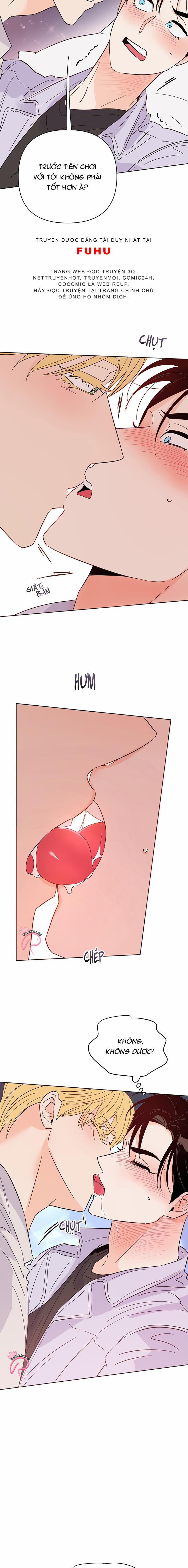 Hào Quang Tối 43 trang 8