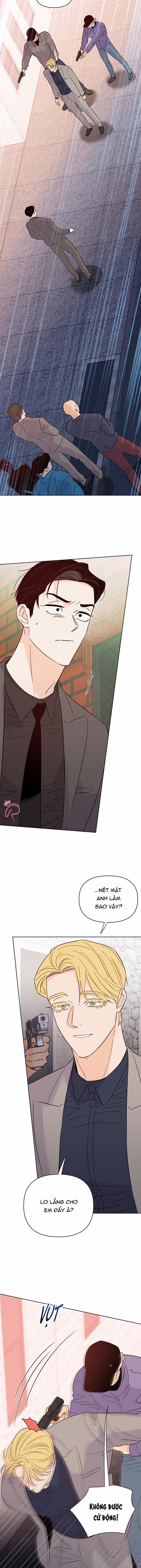 Hào Quang Tối 47 trang 3