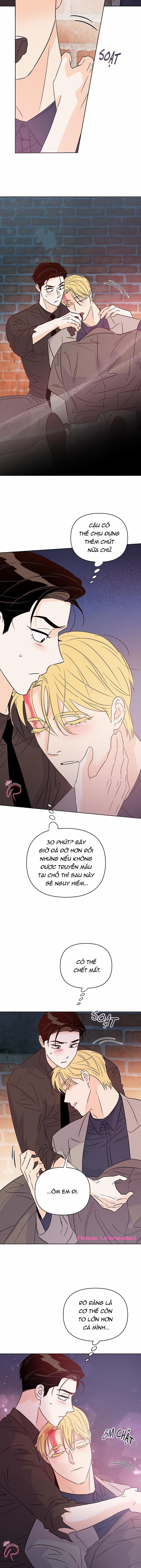 Hào Quang Tối 48 trang 10