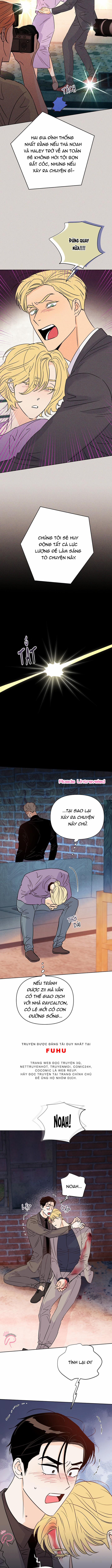 Hào Quang Tối 48 trang 5