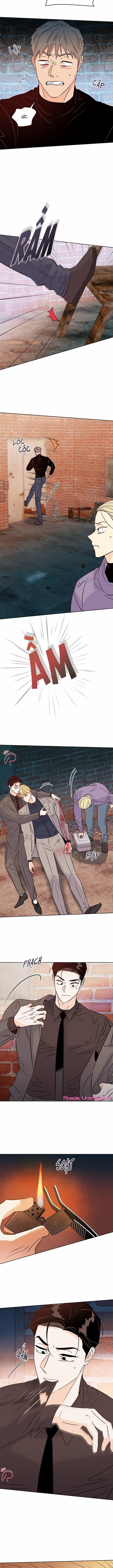 Hào Quang Tối 48 trang 8