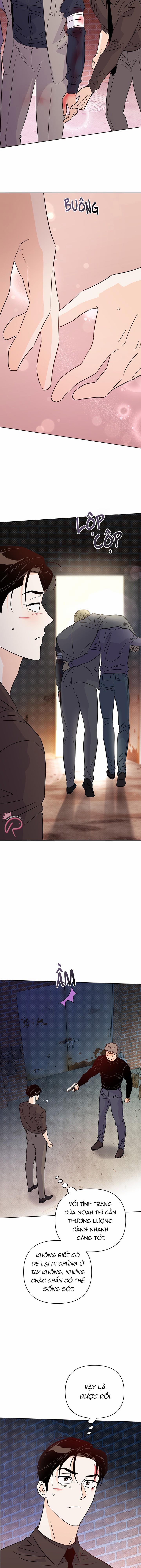 Hào Quang Tối 49 trang 10