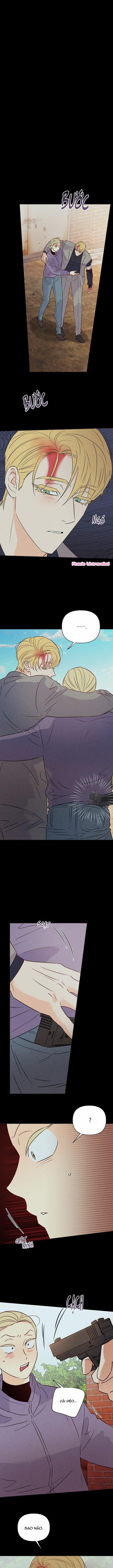 Hào Quang Tối 51 trang 0