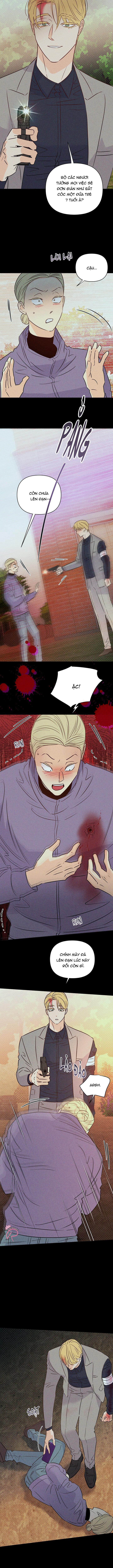 Hào Quang Tối 51 trang 1