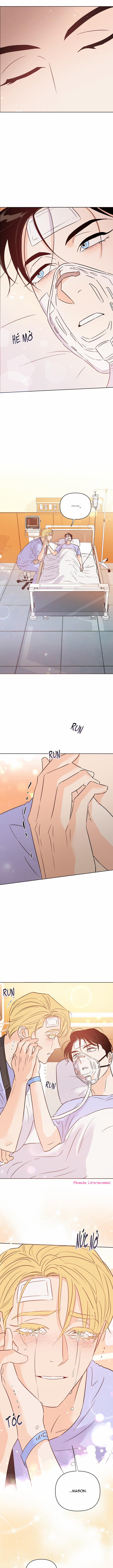 Hào Quang Tối 51 trang 16