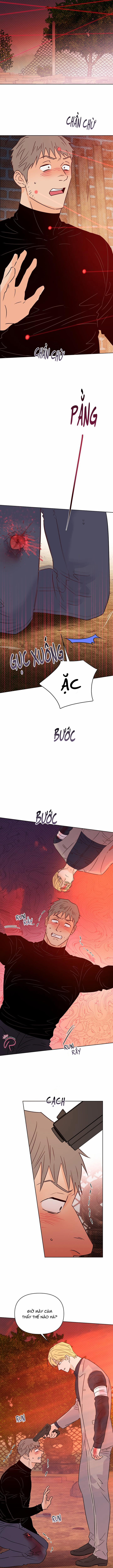 Hào Quang Tối 51 trang 3