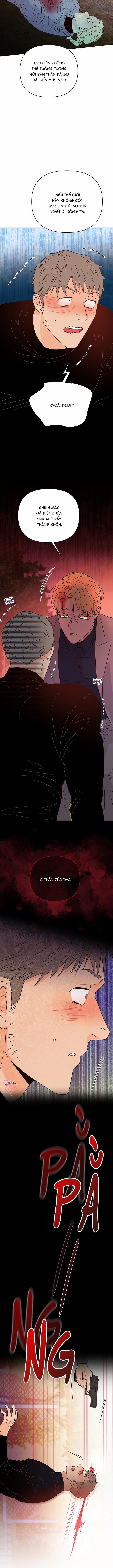 Hào Quang Tối 51 trang 5