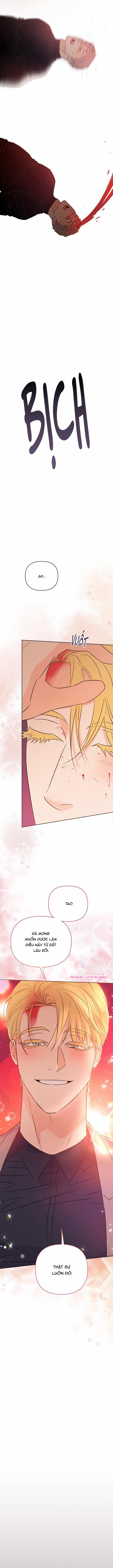 Hào Quang Tối 51 trang 6