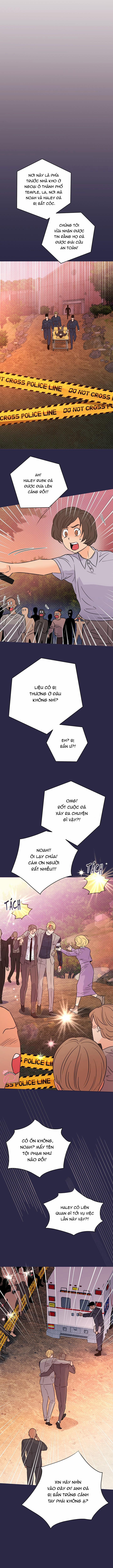 Hào Quang Tối 51 trang 7