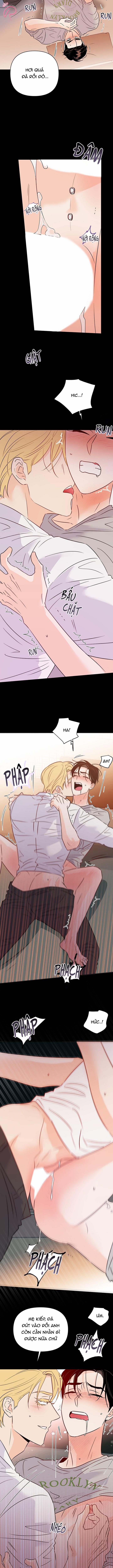 Hào Quang Tối 52 trang 5