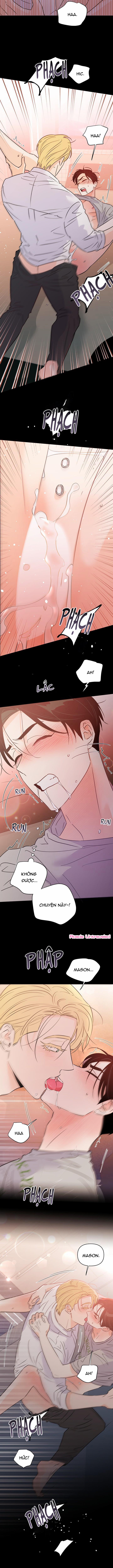 Hào Quang Tối 52 trang 6