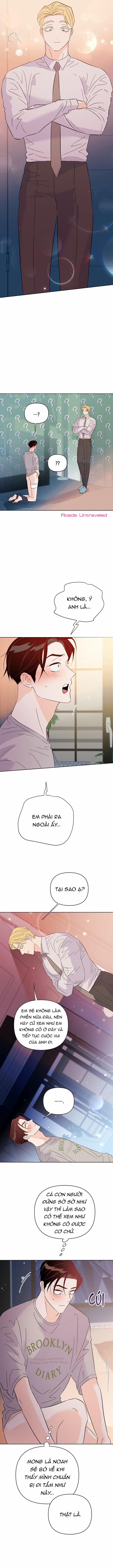 Hào Quang Tối 53 trang 2