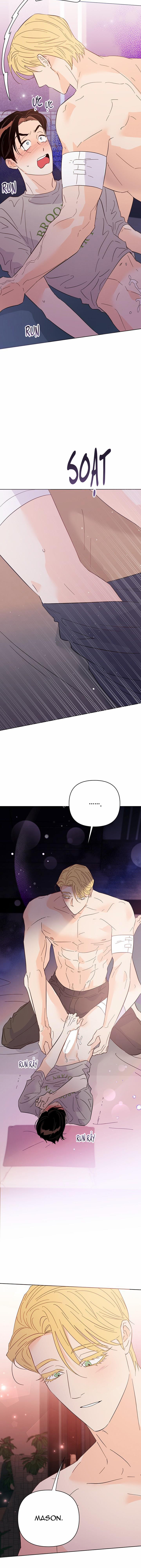 Hào Quang Tối 53 trang 5