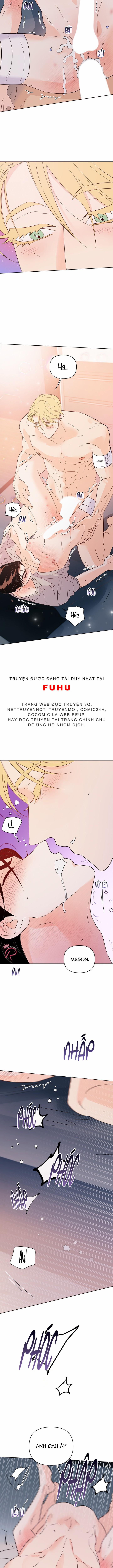 Hào Quang Tối 54 trang 2