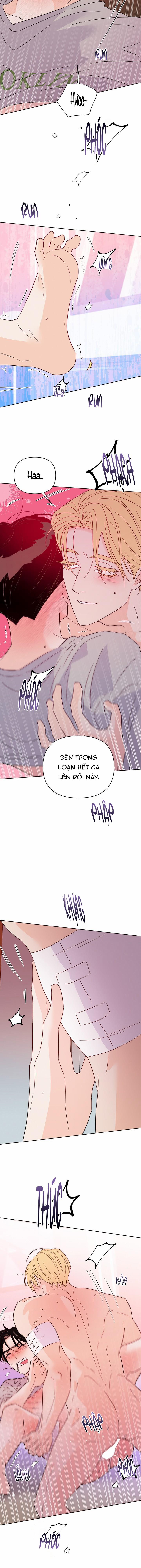 Hào Quang Tối 54 trang 5