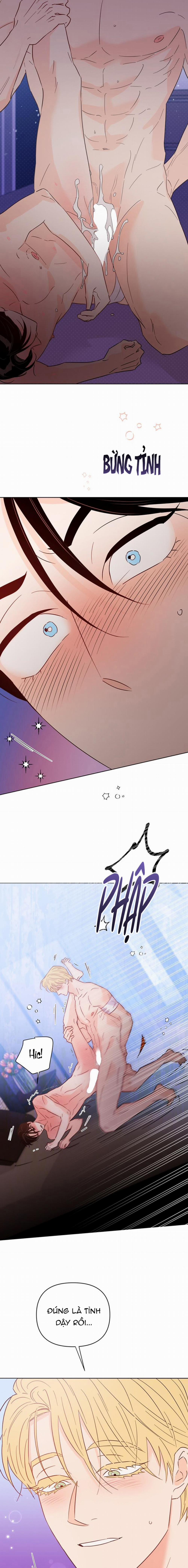 Hào Quang Tối 55 trang 1