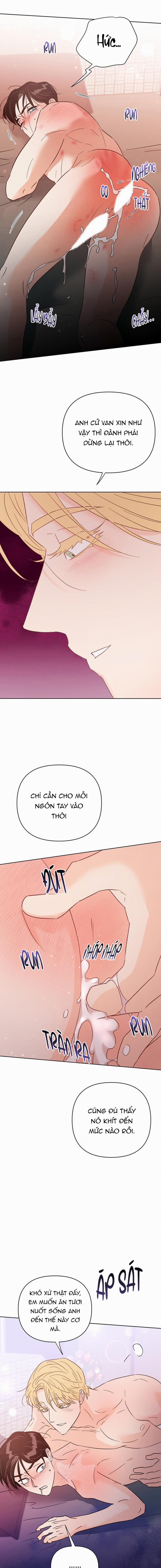 Hào Quang Tối 55 trang 4