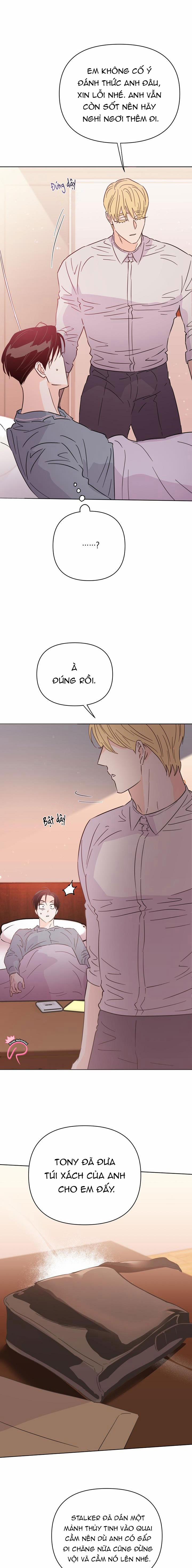 Hào Quang Tối 62 trang 11