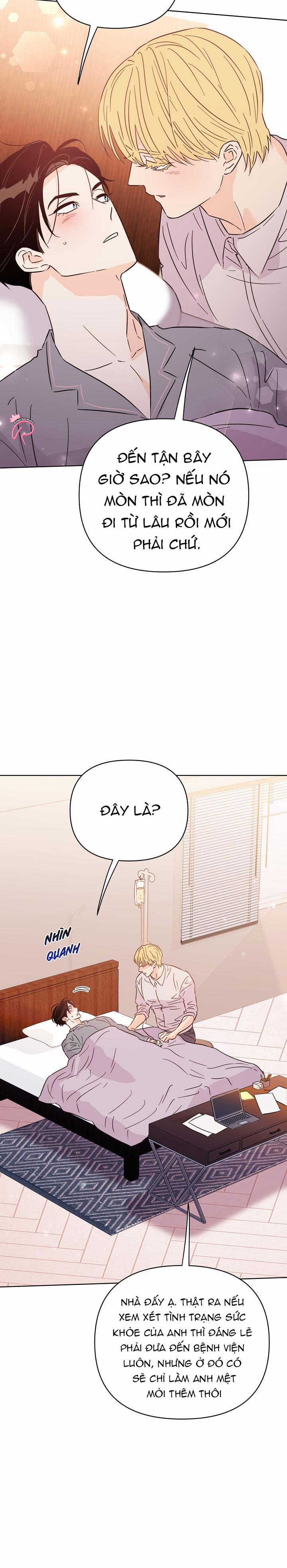 Hào Quang Tối 62 trang 8