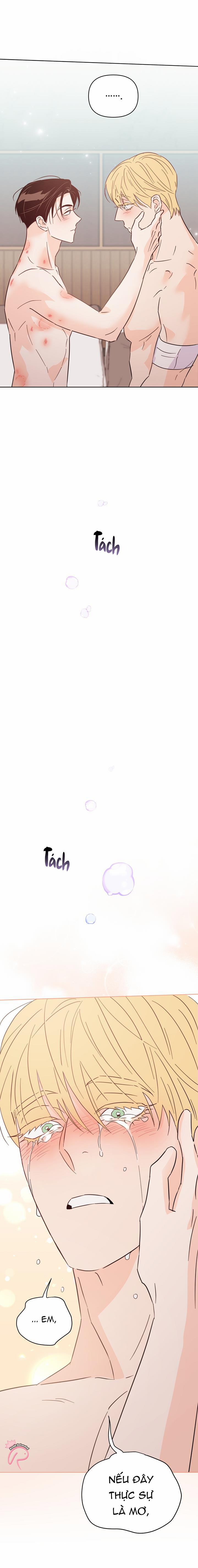 Hào Quang Tối 65 trang 17