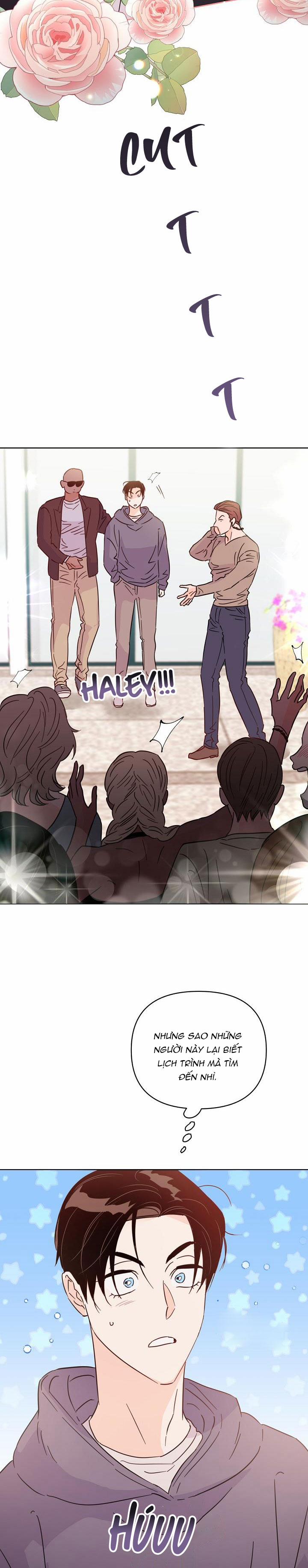 Hào Quang Tối 67 trang 21