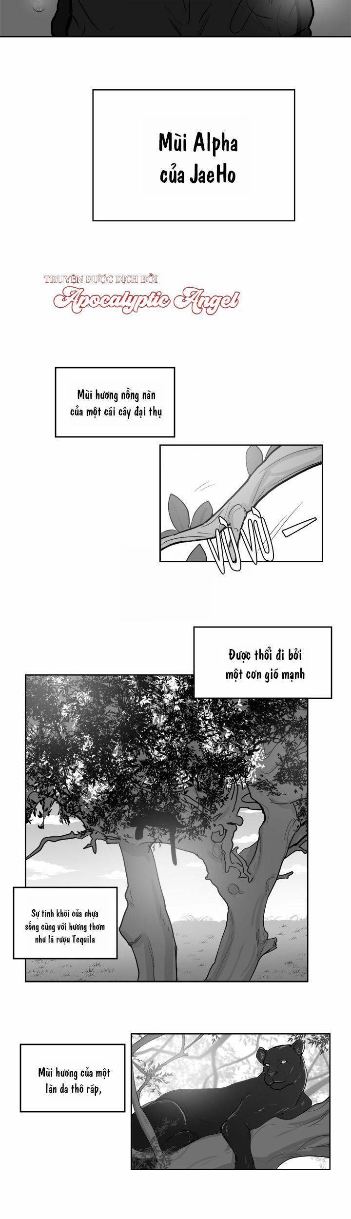 [HAR] Đụng Là Nóng Mà Chạm Là Chạy 12 trang 6