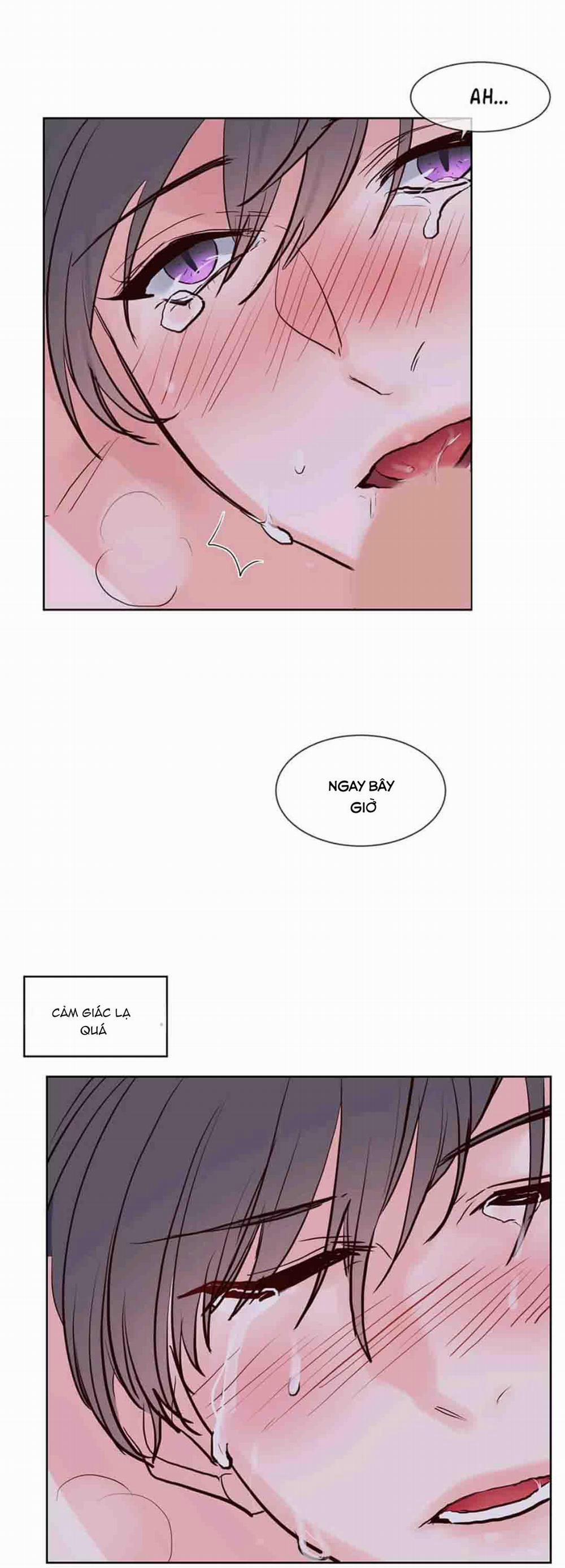 [HAR] Đụng Là Nóng Mà Chạm Là Chạy 40 trang 15