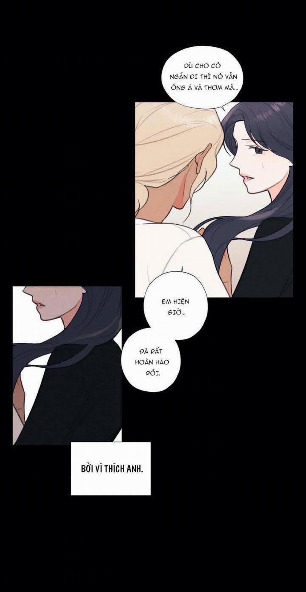 Hardcore Vanilla 15 trang 41