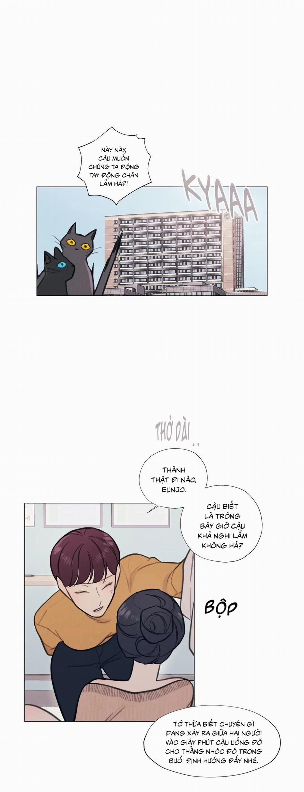 Hardcore Vanilla 8 trang 21