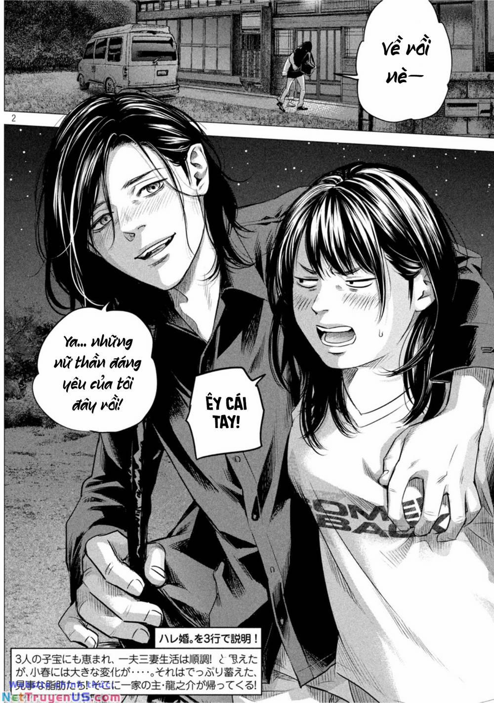 Hare Kon. Okawari! 2 trang 1