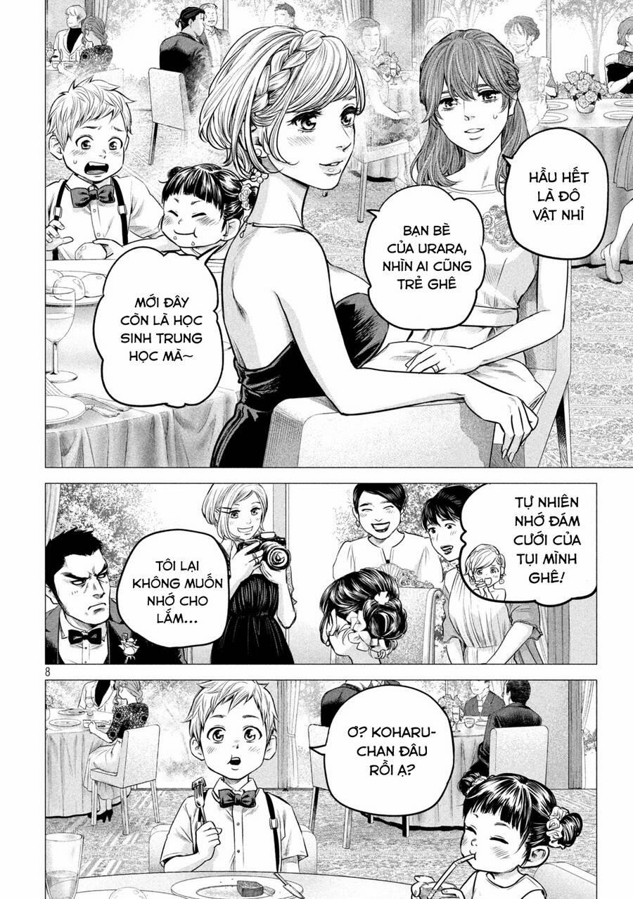 Hare Kon. Okawari! 6 trang 7